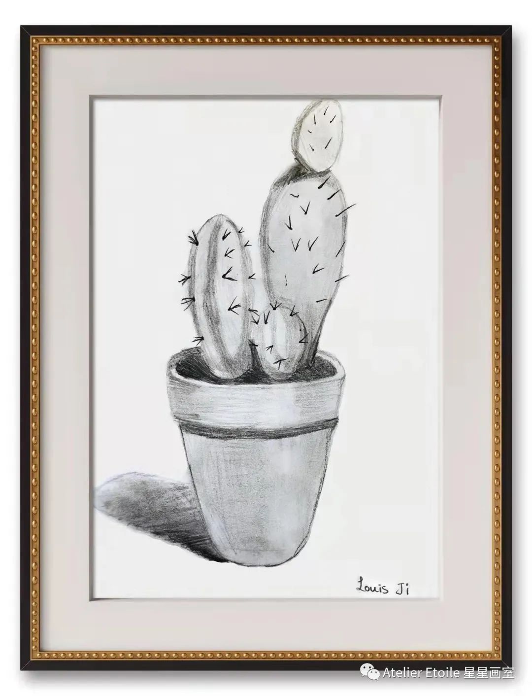 Louis JI 10岁线上素描课初级课堂作品