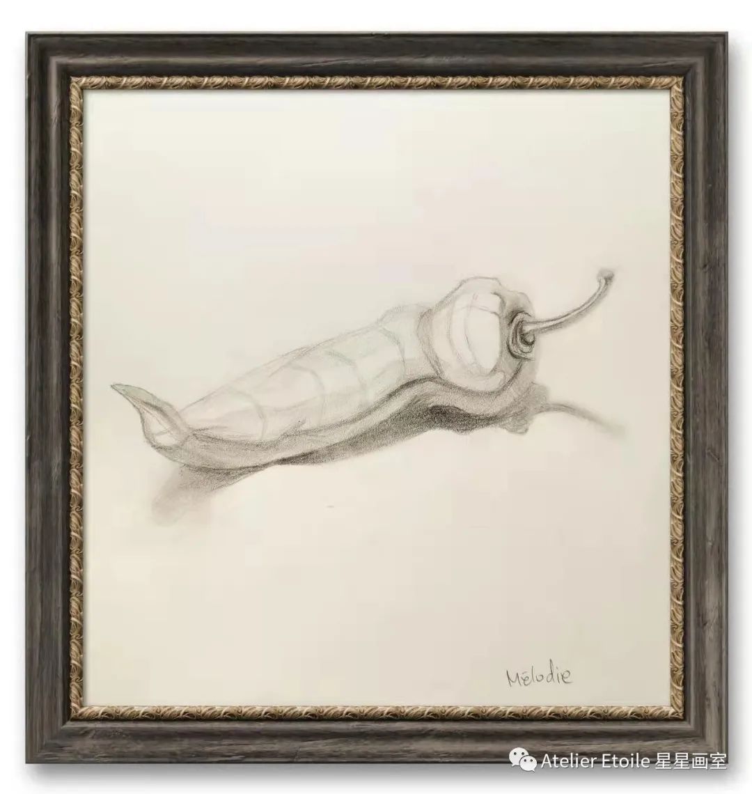 Melodie LIN 10岁线上素描课初级课堂作品