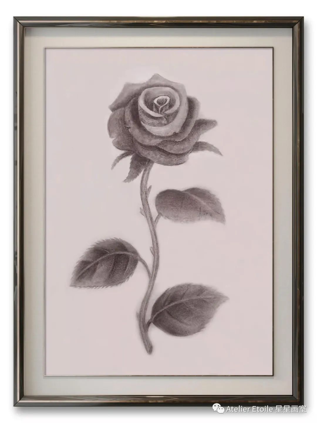 岳叶南 12岁线上素描课中级课堂作品