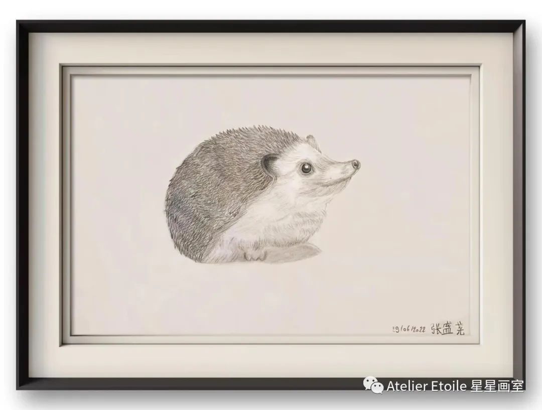 张盛尧 11岁线上素描课高级课堂作品