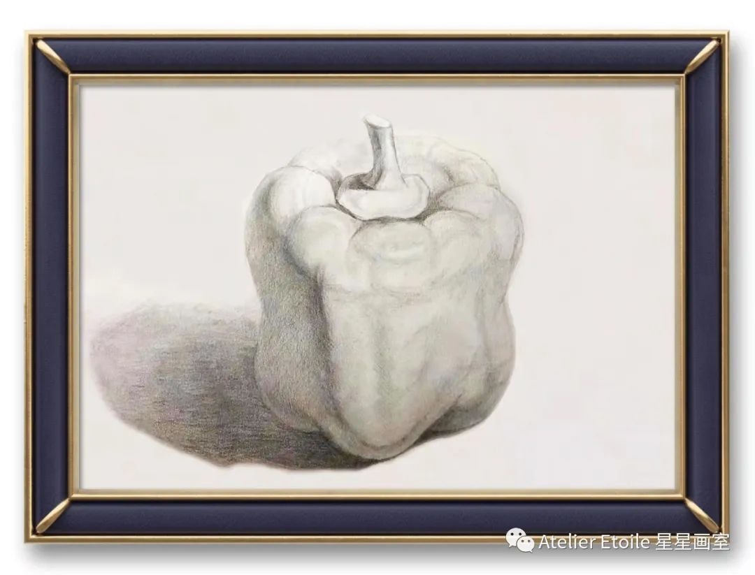 王馨雅 15岁线上素描课中级课堂作品