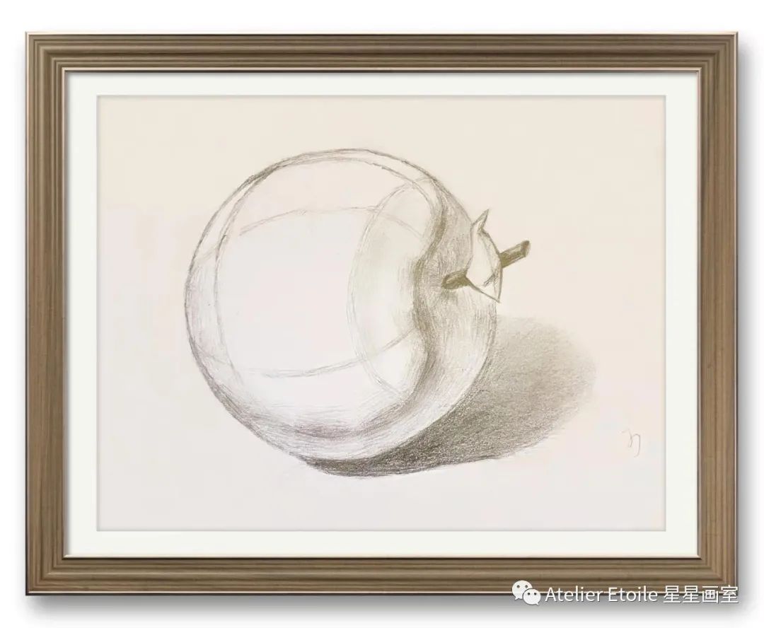 蒋晶晶 成人线上素描课初级课堂作品