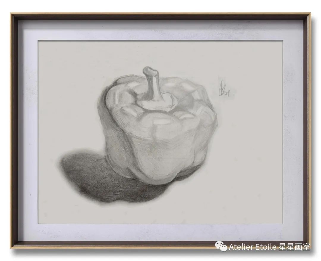 鲍韦如，12岁，线上素描课初级，课堂作品