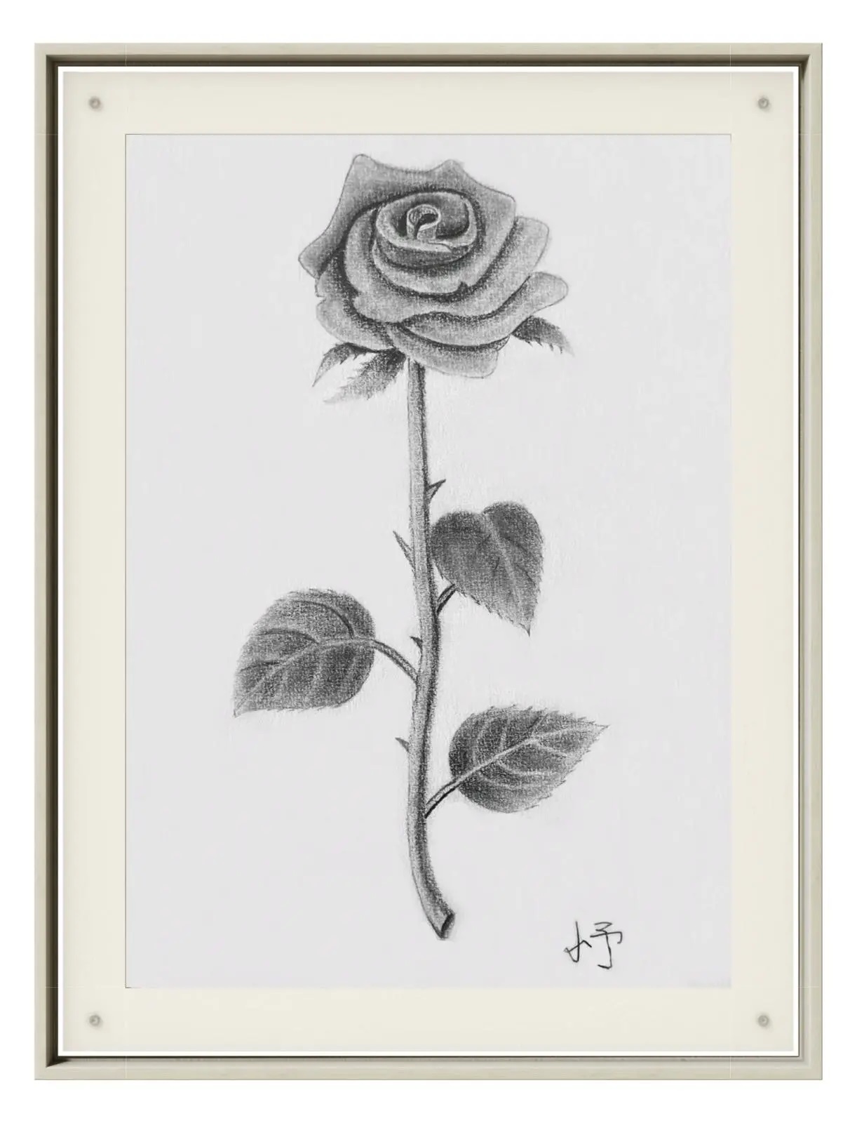 张缤予，13岁，线上素描课初级，课堂作品