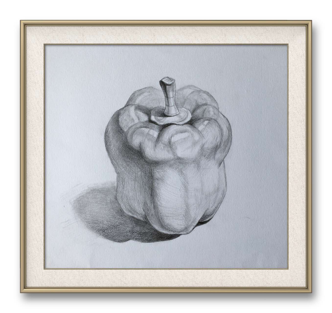 Marion Bevilacqua, 成人，线上素描中级课，课堂作品 (2).jpg