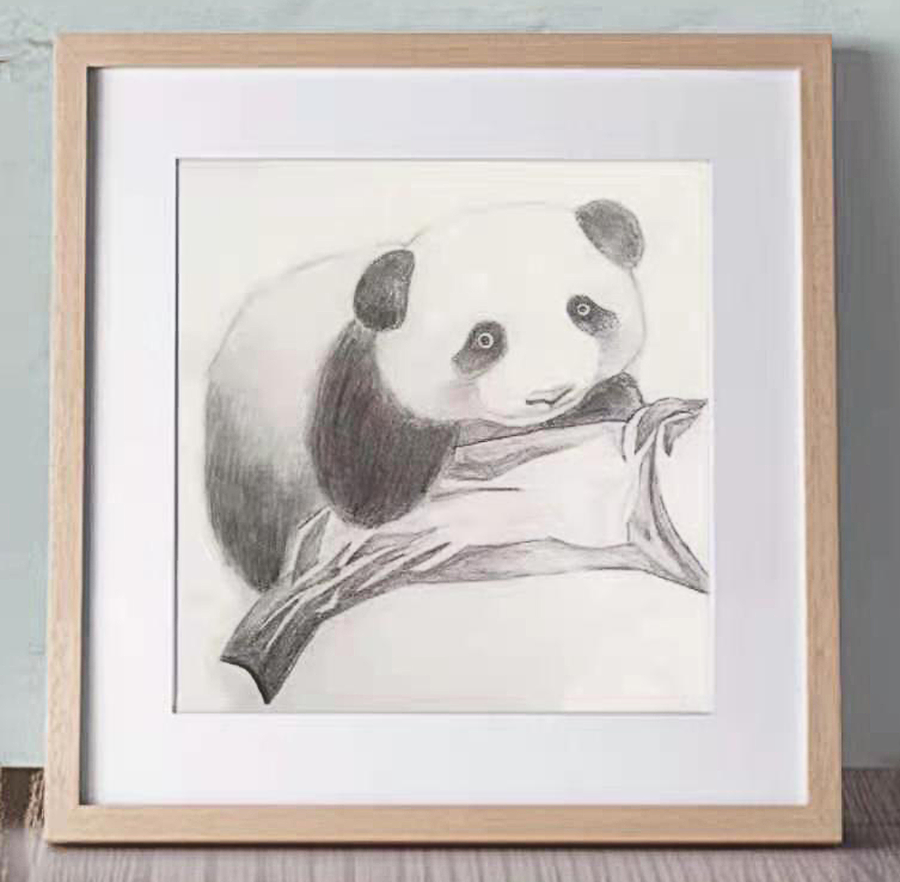 Adrien CAI 13岁，初学，线上素描初级课课堂作品 Adrien CAI  13 Ans, Débutant,  Dessin Réalisé Dans Le Cours En Ligne