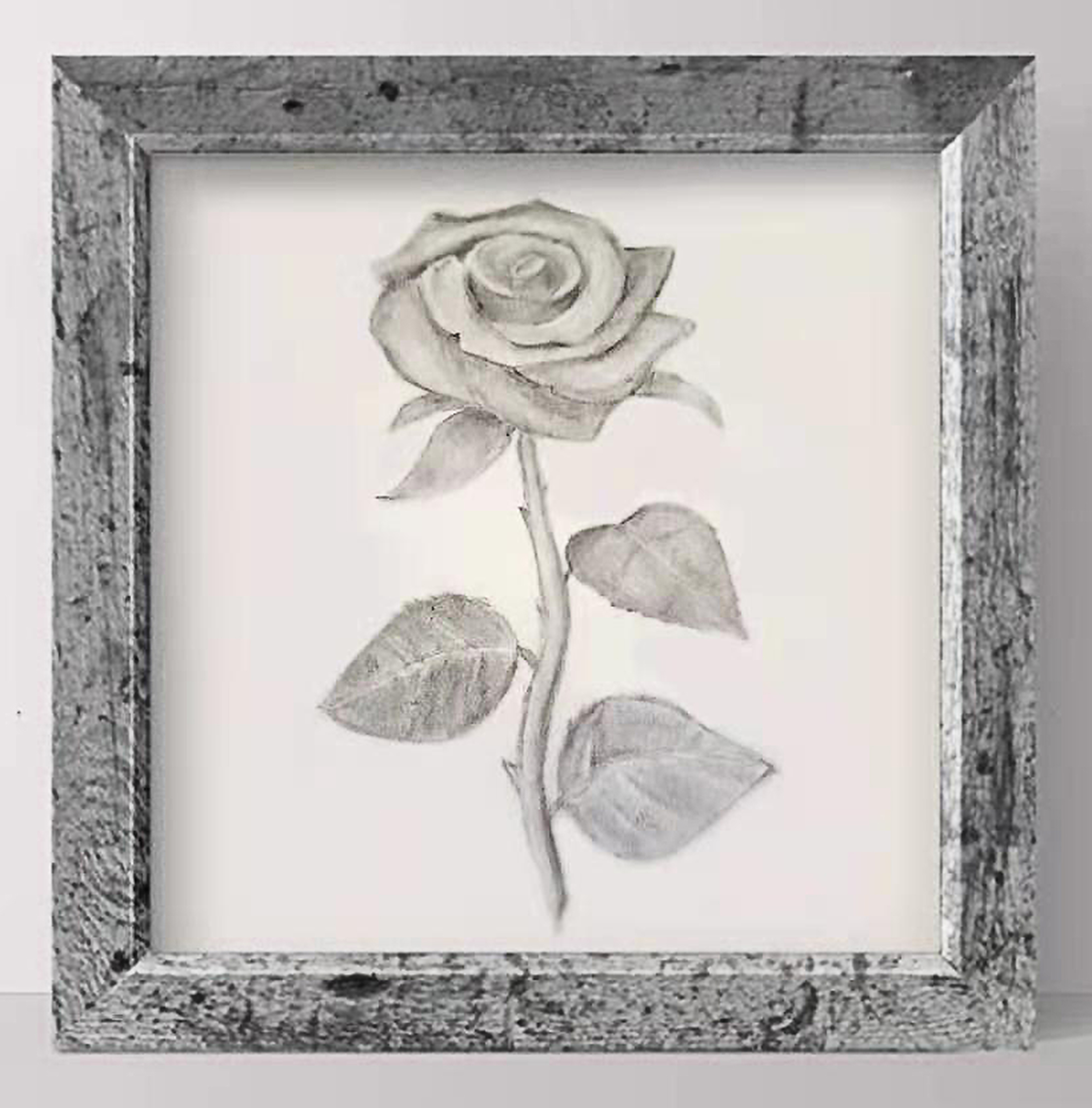 Chloé CAI 11岁，初学，线上素描初级课课堂作品 Chloé CAI  13 Ans, Débutant,  Dessin Réalisé Dans Le Cours En Ligne